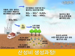 산성비수증기이산화황질소산화물