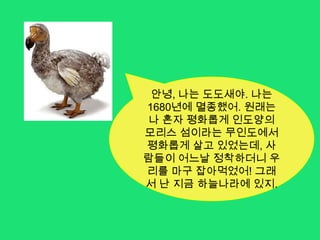 안녕! 내 이름은 콰가야. 나는 얼룩말의 일종으로 1872년 인간들의 무분별한 사냥으로 인해 멸종했어. 나는 성격이 순해서 반항하지 않았지. 그래서 아마도 나를 잡는 게 더 쉬웠나봐.