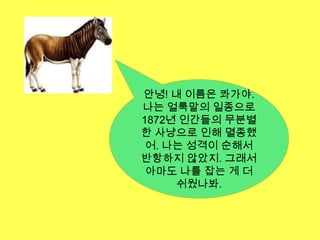 Paul Ehrlich (1854~1915)