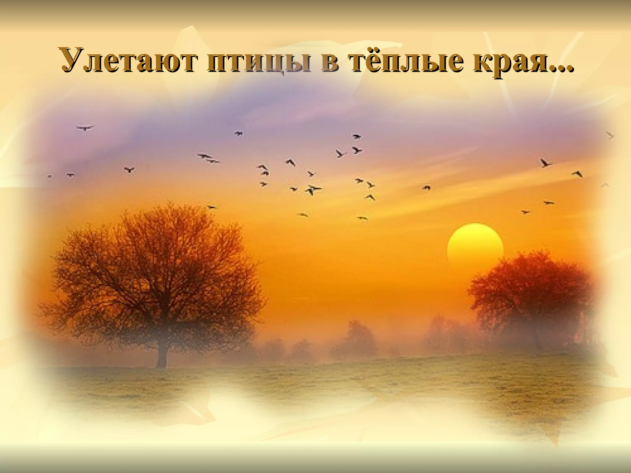 Улетают птицы в тёплые края... 