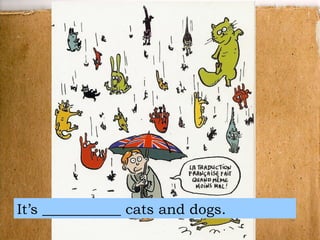 It’s ___________ cats and dogs. 