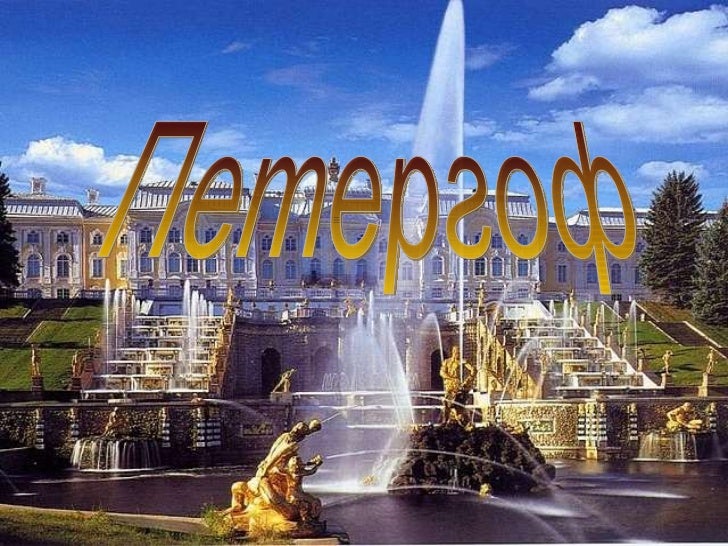 Бмв такт петергоф