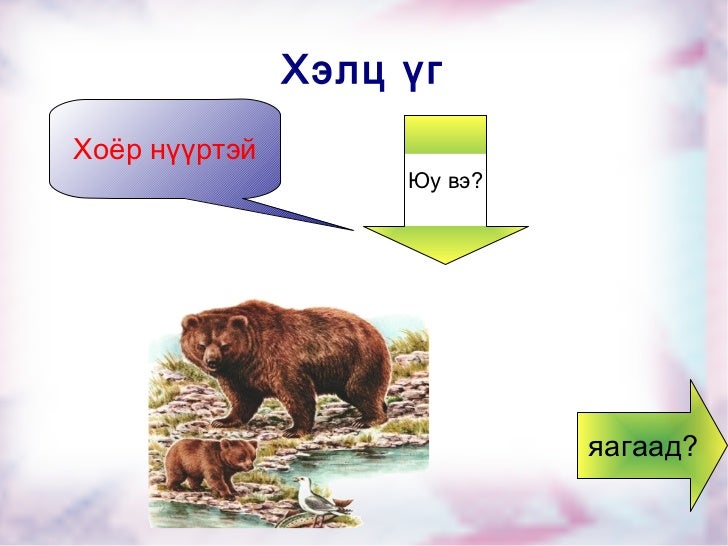 шүүмжлэгдсэн баавгай заах