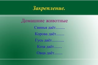 Что  даёт верблюд? Даёт 