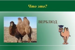 Дать понятие 
