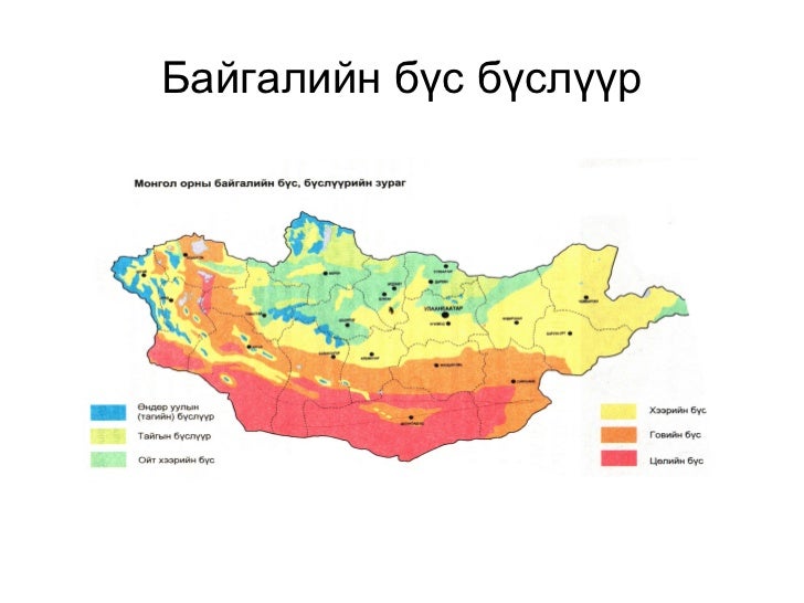 урнаа цахим хэрэглэгдэхүүн