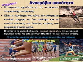 Ύστερα αρχίζει μία περίοδος σταδιακής παρακμής, όπου η αερόβια ικανότητα μειώνεται με ρυθμό 1% το χρόνο.Φύλο – ηλικία και αερόβια άσκησηΜε την συστηματική άσκηση η μείωση της αερόβιας ικανότητας που επέρχεται με την ηλικία αντισταθμίζεται. Ένας 50χρόνος που γυμνάζεται έχει κατά μέσο όρο την αερόβια ικανότητα ενός 40χρόνου ή και 35χρόνου που δεν γυμνάζεται. Μερικοί 70χρόνοι που ποτέ δεν σταμάτησαν να γυμνάζονται, είναι νεώτεροι, με κριτήριο πάντα την αερόβια ικανότητα από πολλούς αγύμναστους 20χρόνους!!!!!Η αερόβια ικανότητα φθίνει με την ακινησία και ακμάζει με την αερόβια άσκηση. 