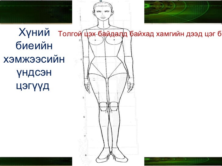 нээлттэй хичээл