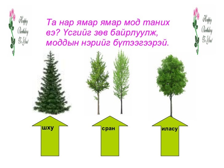 мод хичээл м