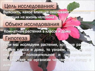 Цель исследования: Объект исследования Гипотеза 