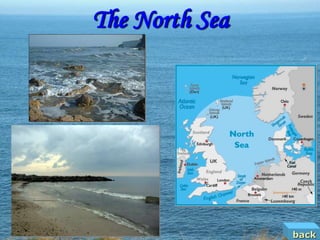 The North Sea




                back
 