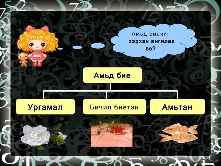 амьд бие сувдаа