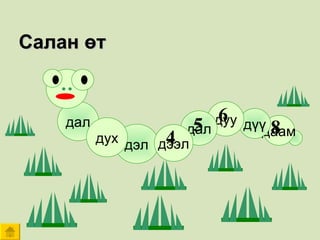 8 6 4 5 Салан өт дэл дал дух даам дүү дуу дал дээл 