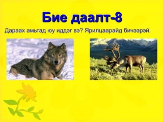 Бие даалт-8 Дараах амьтад юу иддэг вэ? Ярилцаарайд бичээрэй. 