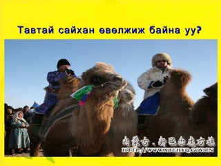 Тавтай  сайхан өвөлжиж байна уу? 