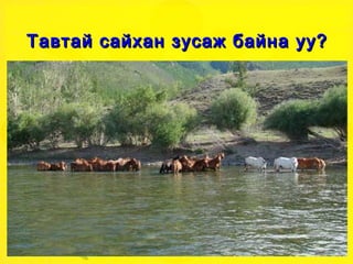 Тавтай  сайхан зусаж байна уу? 