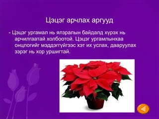 Цэцэгт ургамал | PPT
