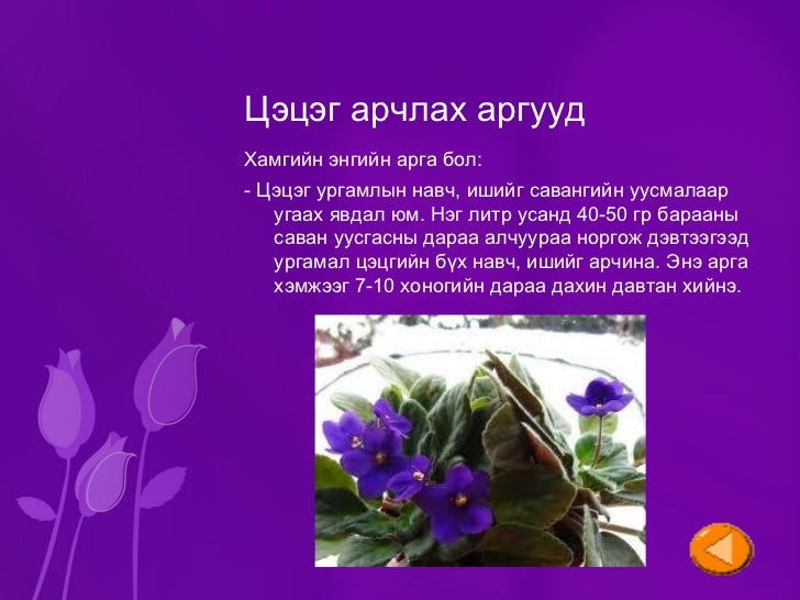 Цэцэгт ургамал