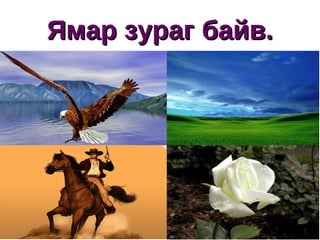 Бие дааж юу хийх вэ? Багшийн уншиж өгсөн зохиолын гол агуулгыг тэмдэглэх 