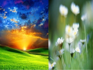 Борья,Бадам хоёрын дүрийг харьцуулан бичих. 