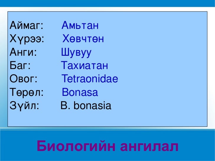 цоож хичээлүүд