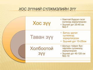 ХОС ЗҮҮНИЙ СҮЛЖМЭЛИЙН ЗҮҮ