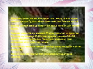 Давстайуутанджижигхэнуудагцаасюмуу,эсвэлхэдэн
    ширхэгцагаанбудаахийвэлдавсчийгтэжбөөгнөрөхгүй.
    Байхууцайтайсаванднимбэгнийхальсхийвэлцайамттай
    болно.
    Төмсийгхальстайньчанавал75хувь,хальсыгньарилгаж
    бүхлээрньчанавал60­70хувь,хэрчижчанавал35—50
    хувийнвитаминтайбайна.Чанаснаасжигнэвэлтөмс
    витаминааилүүсайнхадгалдаг.
    Хальстайньчанасантөмсийгхялбарцэвэрлэегэвэлхүйтэн
    усандхий.
    Өргөстхэмххэтгашуунболчихэртэйсүүнддүрээд
    хэрэглэ.

                               
 