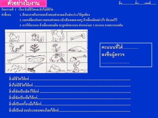 ชื่อ..................ชั้น........เลขที.่ .......
กิจกรรมที่ 1 เรื่อง สิ่ งมีชีวิตและสิ่ งไม่ มีชีวิต
คาชี้แจง      1. ศึกษาภาพในกรอบแล้ วตอบคาถามลงในช่ องว่ าง ให้ ถูกต้ อง
              2. แลกเปลี่ยนกันตรวจสอบคาตอบ แล้ วฟังเฉลยจากครู ถ้ าเพือนผิดอย่ างไร ต้ องจดไว้
                                                                       ่
              3. การให้ คะแนน ถ้ าเพือนตอบผิด จะถูกหักคะแนน ตาแหน่ งละ 1 คะแนน จากคะแนนเต็ม
                                          ่




                                                                                                         คะแนนที่ได้ ..............
                                                                                                         ลงชื่อผู้ตรวจ
                                                                                                         .........................

     สิ่งมีชีวตได้แก่ ...................................................................................................................
                ิ
     สิ่งไม่ มีชีวตได้แก่ ...............................................................................................................
                    ิ
     สิ่งที่จัดเป็ นสัตว์ได้แก่ ........................................................................................................
     สิ่งที่จัดเป็ นพืชได้แก่ ...........................................................................................................
     สิ่งที่เป็ นเครื่องมือได้แก่ ......................................................................................................
     สิ่งที่เป็ นส่ วนประกอบของโลกได้แก่ ..................................................................................
 