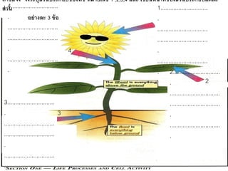 คาชีแจง จงระบุส่วนประกอบของพืช หมายเลข 1 ,2,3,4 และ เขียนหน้ าที่ของส่ วนประกอบแต่ ละ
       ้
ส่ ว4.............................
     น                                                    1.............................
    .          อย่ างละ 3 ข้ อ                            .
  ...............................                              ...............................
  ...............................                              ...............................
  .                                 4                          .
  ...............................                              ...............................
  .                                                            . 2.............................
                                                                       .                     2
                                                                       ...............................
3.............................                                         ...............................
.                               3                                      .
...............................                                        ...............................
...............................                                        .
.
...............................
.
 