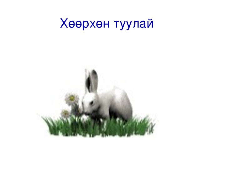 туулай