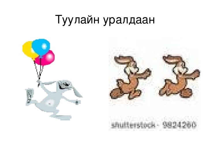 туулай