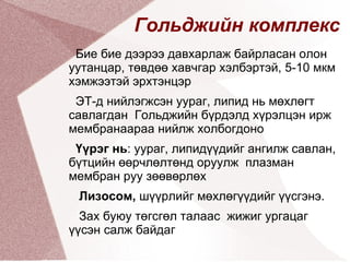 амьтны эсийн бүтэц | PPT