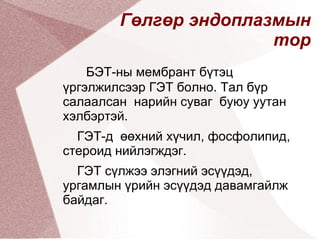 Митохондрийн бүтэц Гадна талын мембран нь гөлгөр, дотор  талын мембран нь олон нугалаастай,  түүнийг крист гэж нэрлэнэ 