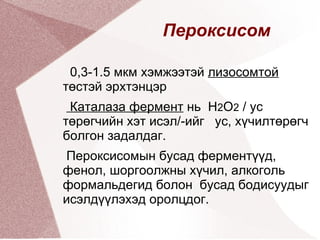 Мембрант бүтэцтэй  эрхтэнцрүүдийг  дотор нь 2 ангилдаг Давхар мембрант  /бөөм, митохондри/  Дан  мембрант бүтэцтэй эрхтэнцрүүдэд: - эндоплазмын тор / барзгар, гөлгөр / - Гольджийн комплекс -лизосом -пероксисом  багтана 