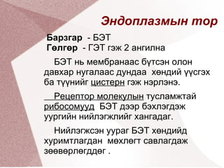 . 0,5мкм өргөн,7-10 мкм урт эсийн эрчим хүчний станц юм  