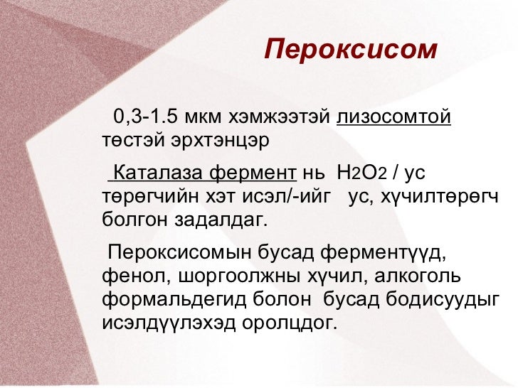 амьтны эсийн бүтэц