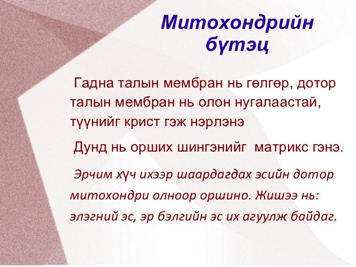 амьтны эсийн бүтэц