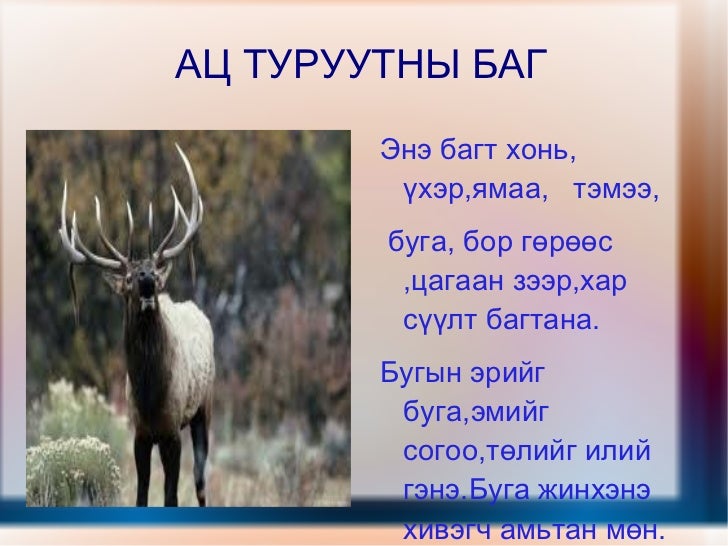 цахим хичээл