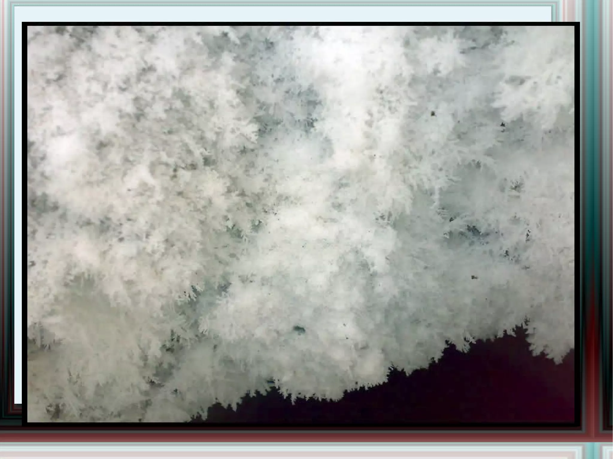 Чимэг болон хөвсийнэ... 