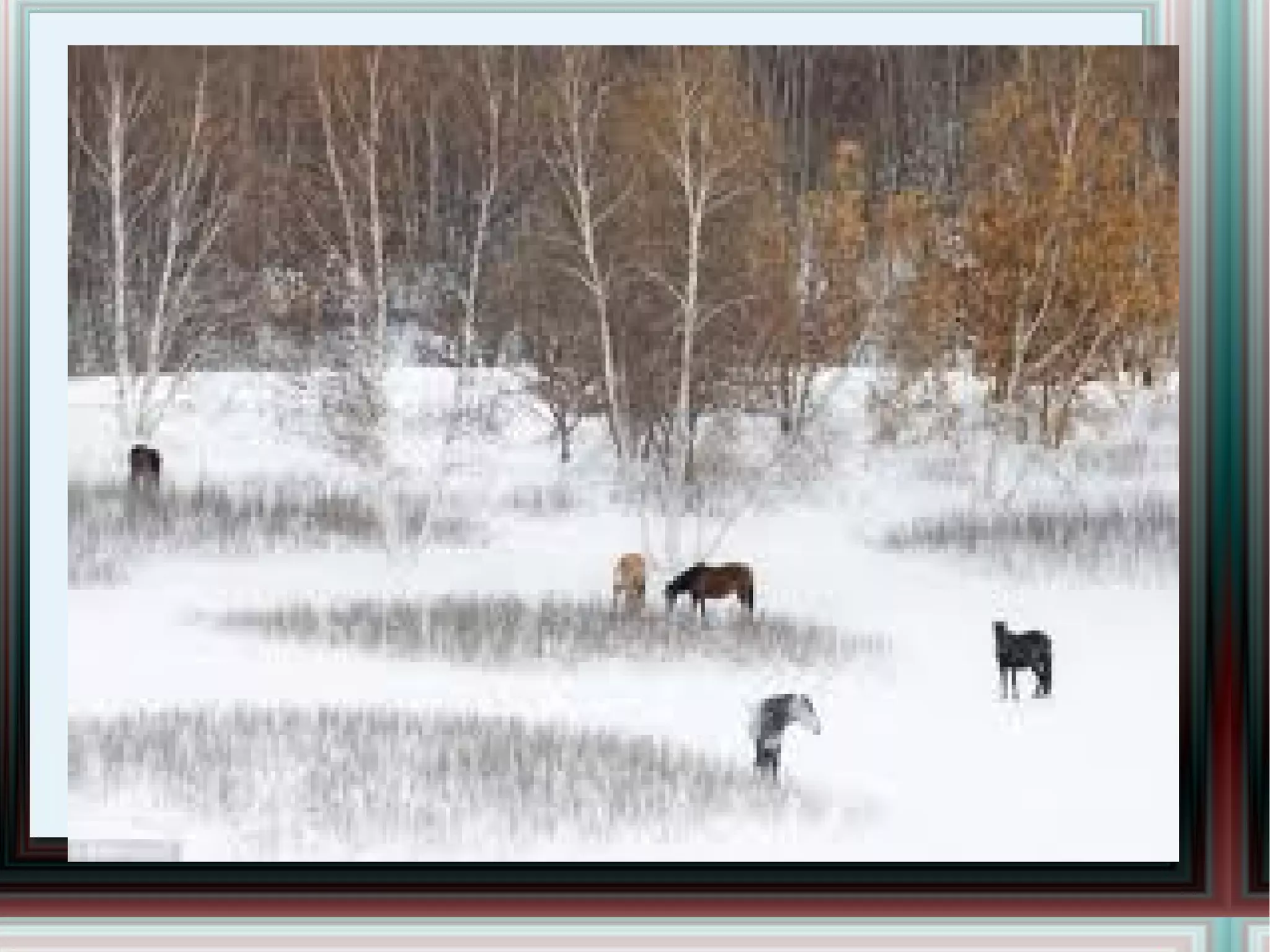 Уул Мөчит дөрвөн хөлтний Мөр нь гараагүй оргил Мөгөөрс нимгэн хоолойтны Дуу нь хүрээгүй оргил... 