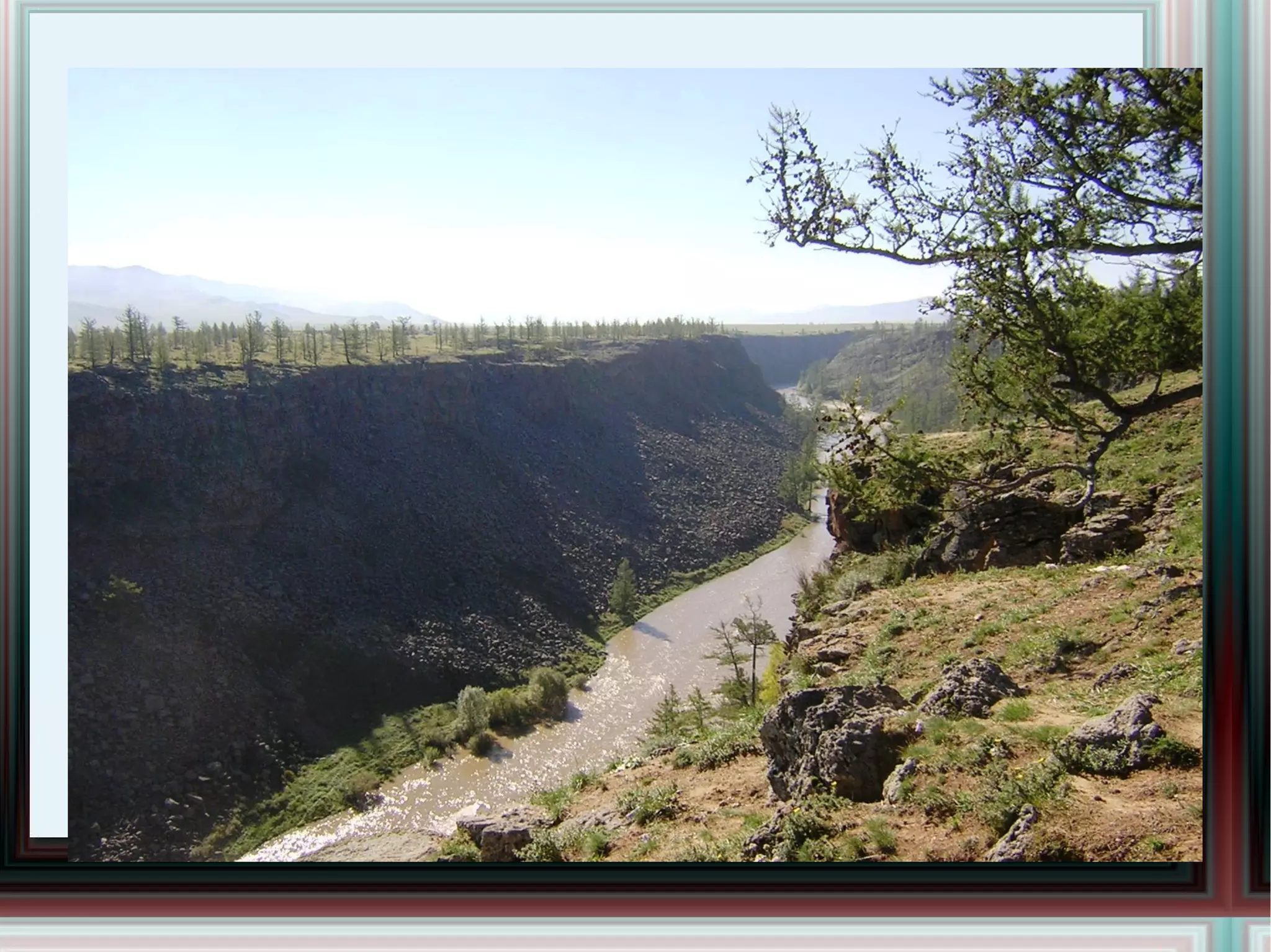 Ургамал Малтаад үзэхэд газраас Шороо чулуу гаравч Мандаад ургах зүйл нь Уран сайхан ургамал... 