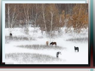 Уул Мөчит дөрвөн хөлтний Мөр нь гараагүй оргил Мөгөөрс нимгэн хоолойтны Дуу нь хүрээгүй оргил... 