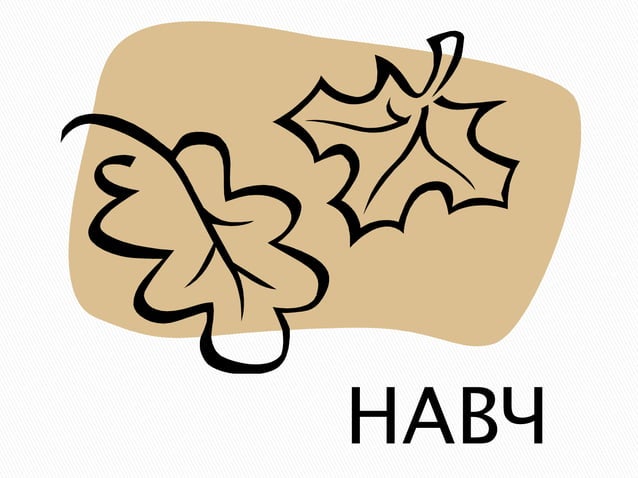 цагаан толгой