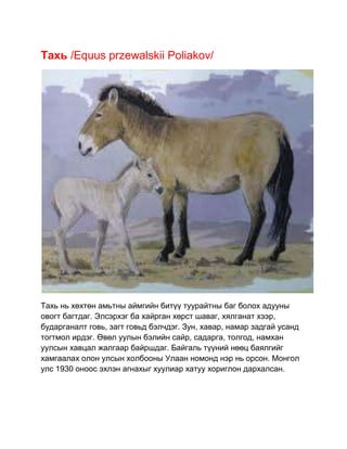 амьтад | PDF