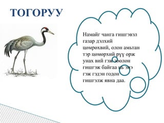 ТОГОРУУНамайг чанга гишгэвэл газар дэлхий цөмрөхвий, олон амьтан тэр цөмөрхий рүү орж унах вий гэж зөөлөн гишгэж байгаа нь энэ гэж гэдэн годон гишгэлж явна даа.