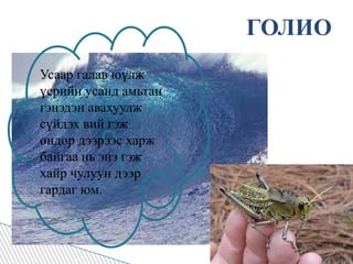 ГОЛИОУсаар галав юүлж үерийн усанд амьтан гэнэдэн авахуулж сүйдэх вий гэж өндөр дээрээс харж байгаа нь энэ гэж хайр чулуун дээр гардаг юм. 