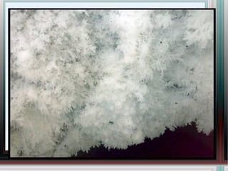 Чимэг болон хөвсийнэ... 