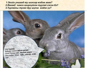 Эхийн санааг хураах 