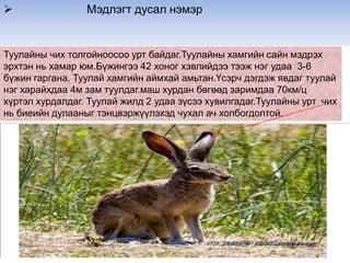 Танд саад болсон бол уучлаарай. 