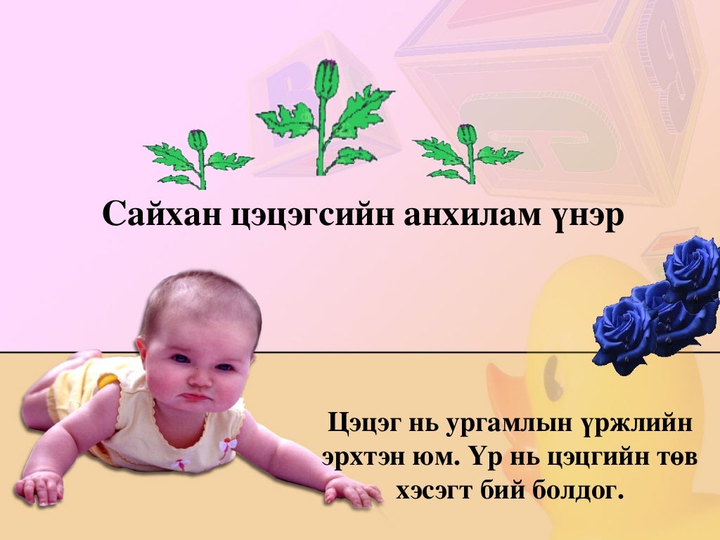 амьд биеийн бүтэц
